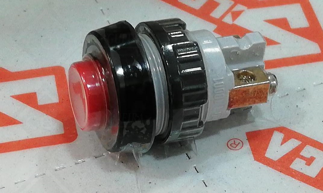 INTERRUPTOR DE ESCOVA